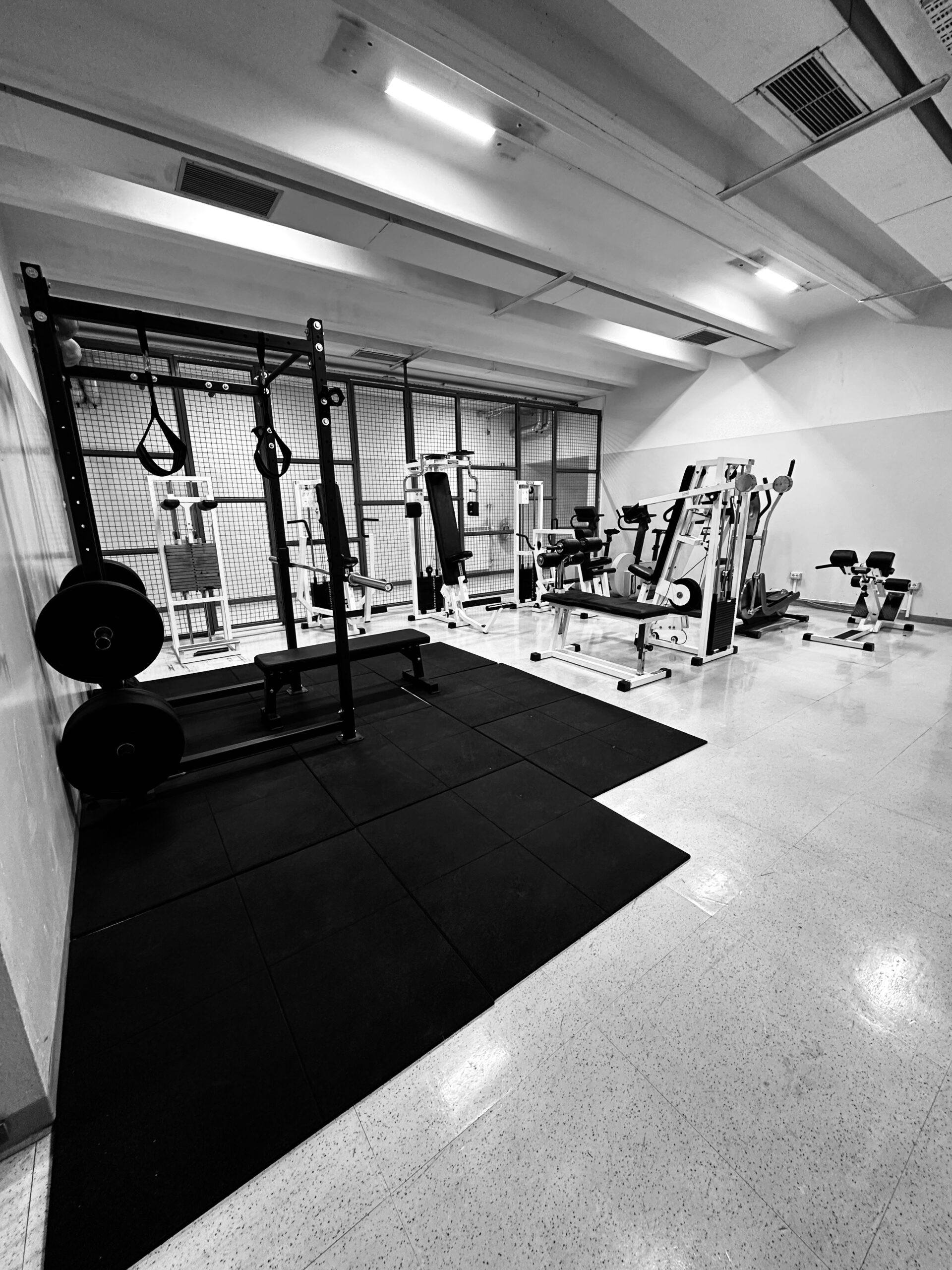 dgym fitnes nova gorica oprema za trening